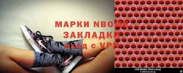 ПСИЛОЦИБИНОВЫЕ ГРИБЫ Алексин